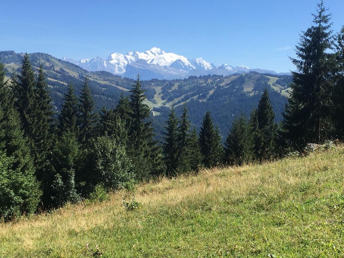 Apartment In Northern Alps With Skiing Nearby لي جيه المظهر الخارجي الصورة