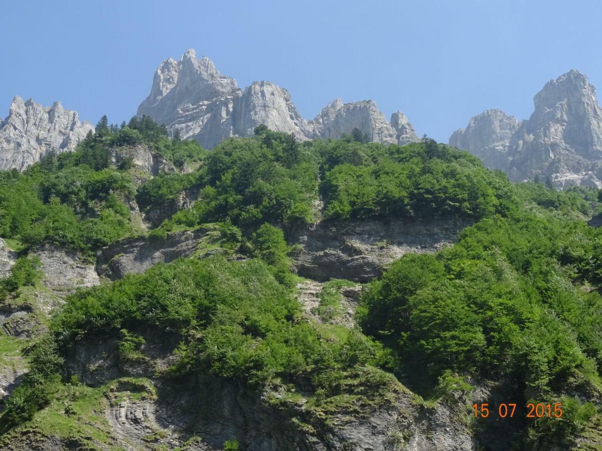 Apartment In Northern Alps With Skiing Nearby لي جيه المظهر الخارجي الصورة