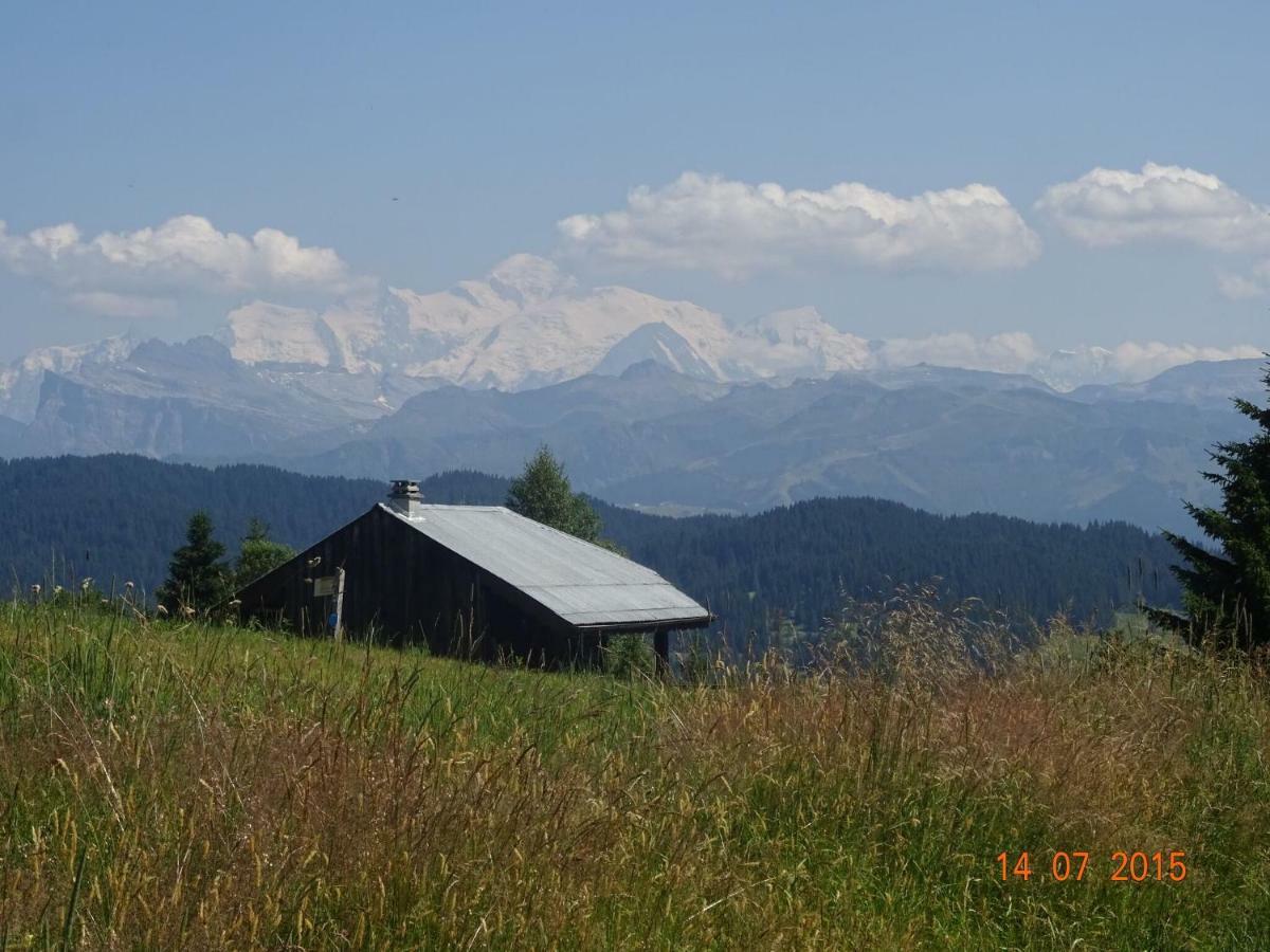 Apartment In Northern Alps With Skiing Nearby لي جيه المظهر الخارجي الصورة
